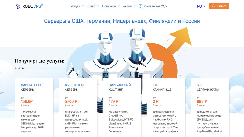 Сккриншот хостера