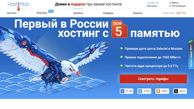 Сккриншот хостера