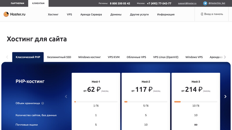 Сккриншот хостера