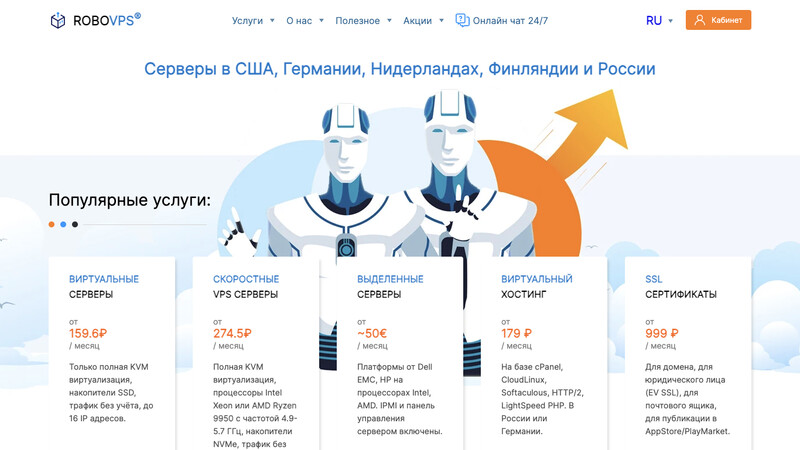 Сккриншот хостера