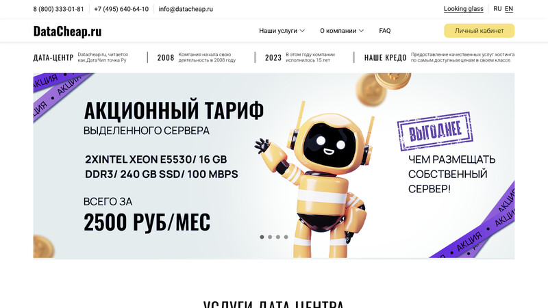 Сккриншот хостера