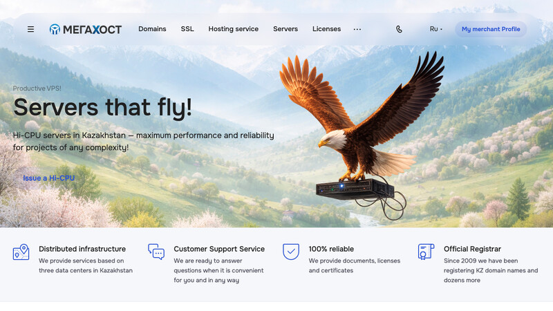 Сккриншот хостера