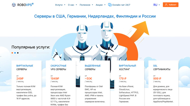 Сккриншот хостера