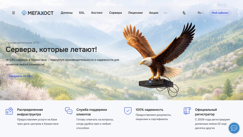 Сккриншот хостера