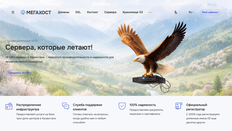 Сккриншот хостера
